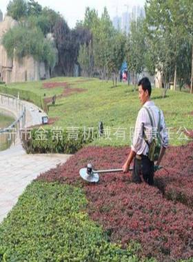 Y机P20多能电动圆盘0绿篱园林绿化4740小型盘式修功剪绿篱修剪机