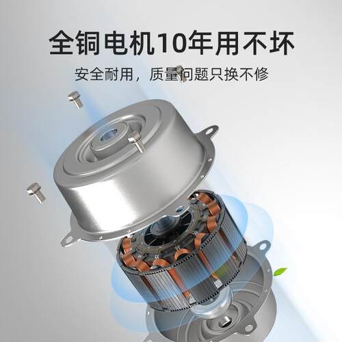 风扇客灯厅吊家餐厅扇灯带灯电风扇吊用灯灯扇ZSS-45-2一体两用20