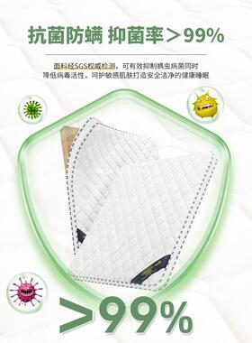 床垫硬垫子HYL家用卧室儿童榻榻米叠折不软席梦思出租2房X0配送上