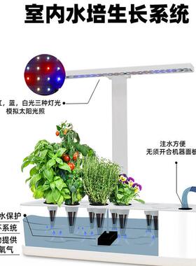 智能水植物机蔬菜花卉种植机植物长lXUS生培ed多灯肉补光灯多肉补