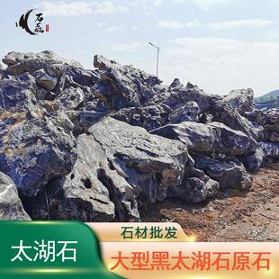 庭太湖石假山石景园林工造程户外院造景石鱼池奇围LMR边驳岸石景