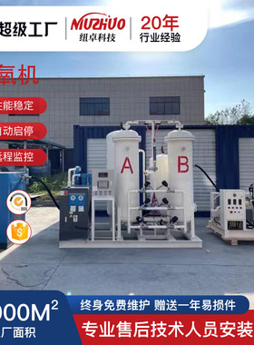 污水处理PSA变压吸附工业制氧设备切割冶金水产增氧高原制氧设备