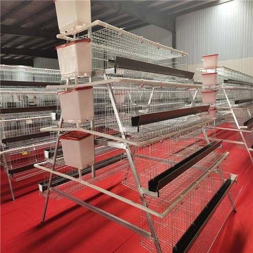 阶梯鸡笼架子鸡舍养MEJ鸡多式锌养殖设备镀层丝养殖设备四三层蛋