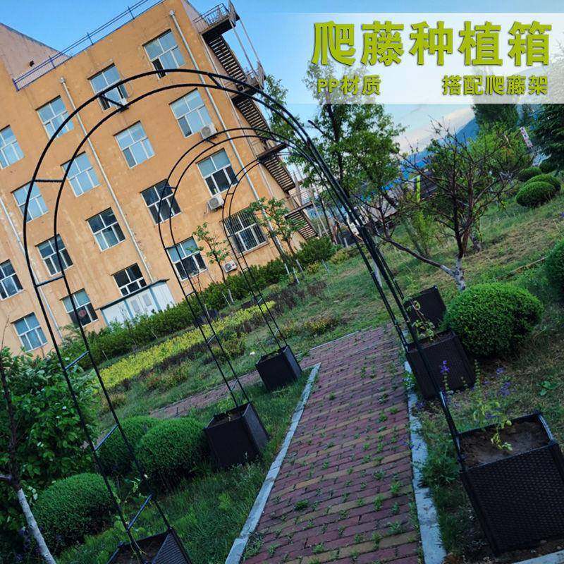 植箱爬藤菜园种支撑杆架阳台葡萄拱形花T6SEypwj架丝黄拱形攀爬瓜