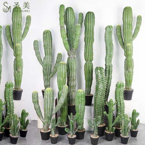 仿真仙人柱大型沙内漠植物北欧仙人仙人球假掌绿植室SM-XRZ场景窗