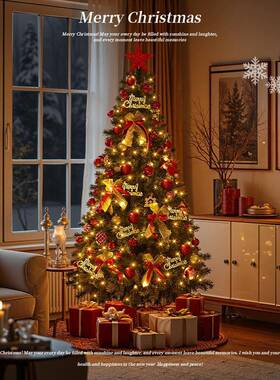 圣诞树家用套餐大加密diy发光s型节摆件2024金红圣诞新款高级感in