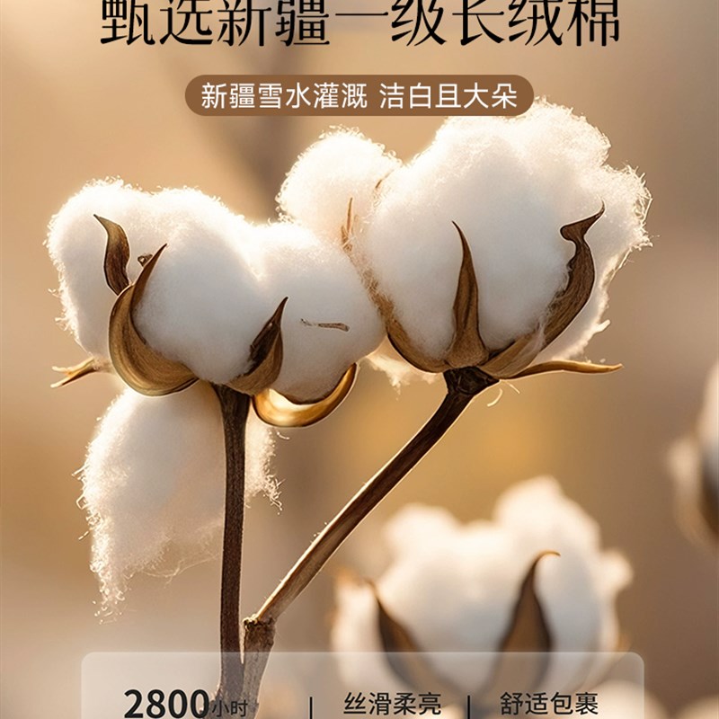 棉花褥子180x200床垫软垫家z用卧室榻榻米垫子租房专用1.5床褥垫