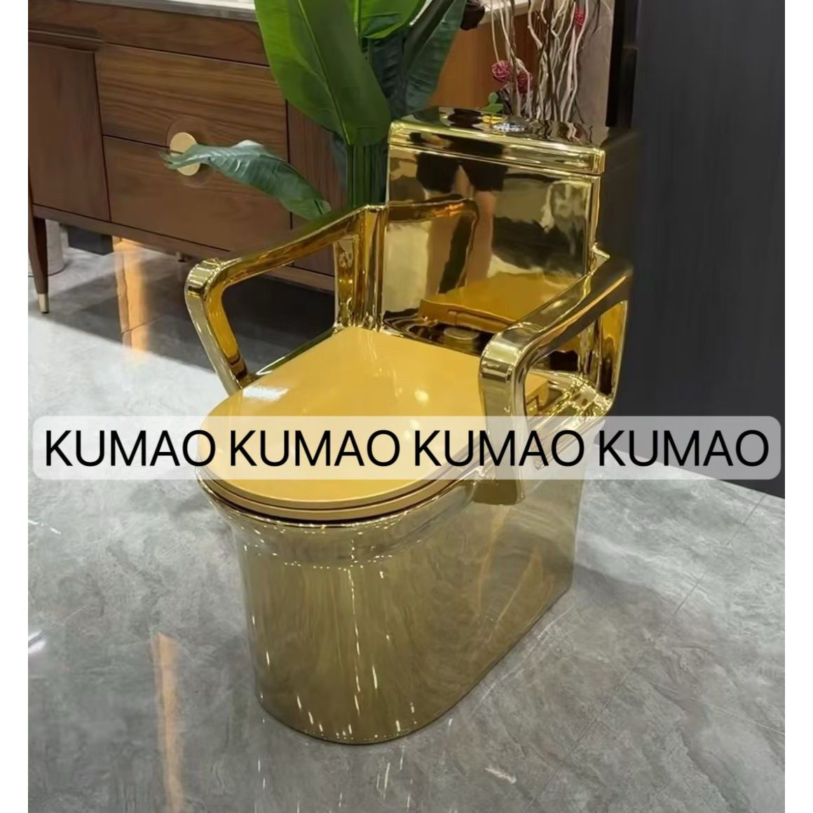 带扶手老人孕妇小孩卫生间家用陶瓷彩色坐便器欧式个性金色马桶