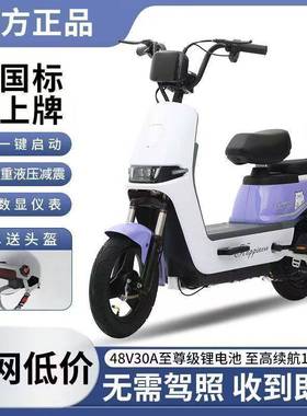 国标新同款36227锂电池电动车2025人新款电动行车成代自步电瓶车