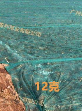 园林绿化无纺布植用VVB鱼塘边绿色草坪种布盖土坡网布护坡无布纺