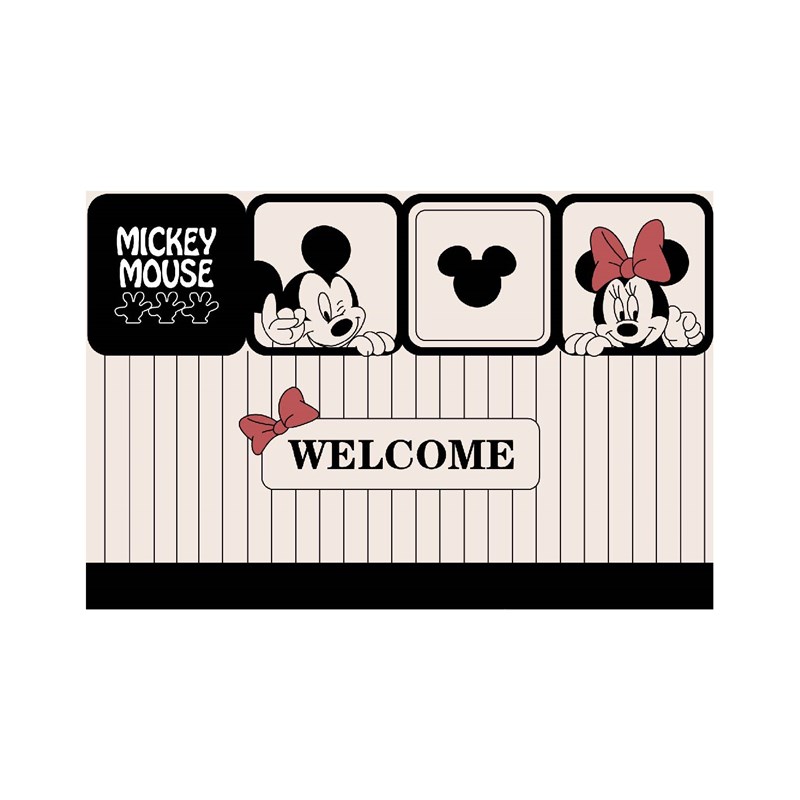 卡通家用丝圈入户门垫防滑耐脏脚垫玄关大门地垫地毯免洗可裁剪