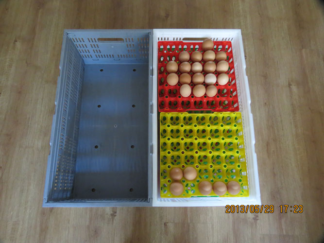 塑料折叠鸡蛋箱 聚丙稀原料 鸡蛋周转箱 折叠箱 蛋盘蛋托塑料蛋筐