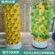 菠萝塔水培种植塔加厚新款 无土栽培ABS材质温室大棚种植立体种植