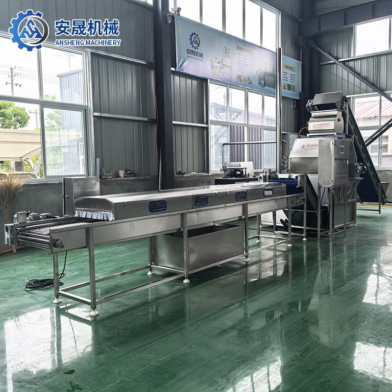 农产品西红柿大型果蔬去皮设备洋柿子速冻黄桃瓣深加工生产全线