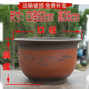 龙缸大花盆陶瓷家用大型种树庭院室外天台铁树花盆大号特大号