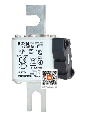 巴斯曼170M3108 3109 3110 3111 170M3112 3113 3114 3115熔断器