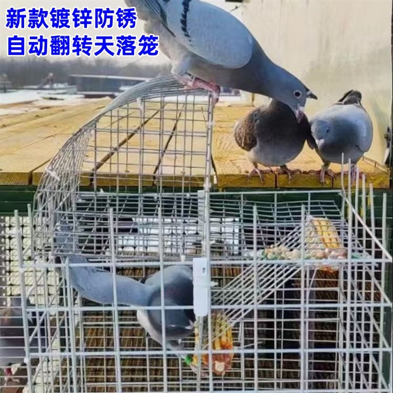 自动翻转天落笼可折叠镀锌便携带门翻板笼防丢笼收鸽笼户外阳台笼