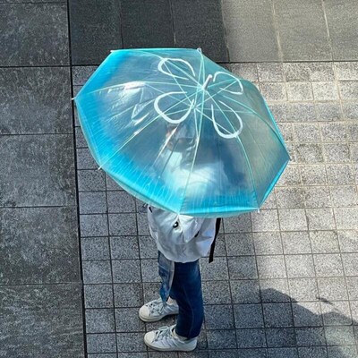 2024新款日系梦幻海月水母透y明雨伞自动长柄加厚抗风小清新高颜