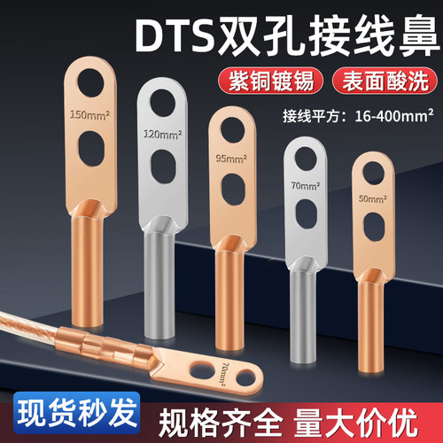 DTS双孔铜鼻子线鼻子接线端子紫铜线耳16/25/35/50/70/95/12Z0/15
