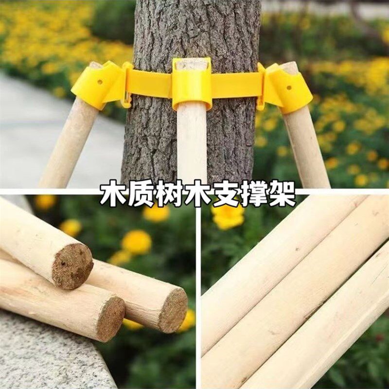 松木树木支撑架固定器园林防风大树支撑杆苗木支架树撑绿化树苗架