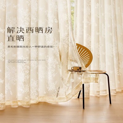 法式蝴蝶纱窗帘遮光2025新款客厅飘窗透光不透人卧室高级感窗纱帘