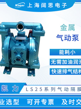 Skylink斯凯力气动隔膜泵LS25系列金属小型气动泵流体输送管道泵