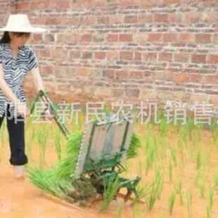 水稻插秧机水田用水田水稻苗插秧机两行稻苗栽秧机有现货