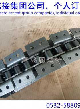 东DBC链条80-1 100-2 120-1 160-1直板链条工业直板链条