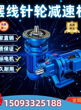 摆线针轮减速机电机一体bswd卧式摆针减速器xwd变速箱铜芯立式厂