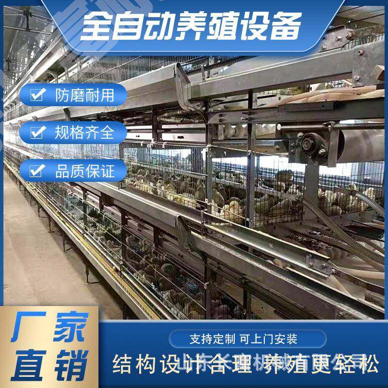 蛋鸡笼层叠式养鸡设备 立式全自动四层清粪鸽子笼 鹌鹑养殖育雏笼,机械设备,农业机械/园林设备/畜牧设备,淘宝优惠券,粉丝福利购,淘宝优惠卷