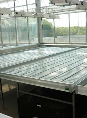 无土苗水培育苗大棚床温室苗床移可动花卉蔬菜育苗RHB灌溉床潮汐