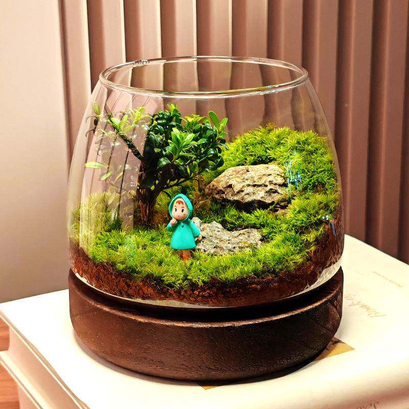 可桌面藓植物景闷养瓶微爱景观微观生苔态SET瓶微缩盆栽观盆景造