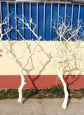 干树枝去皮原木树干枯树枝带分枝C带杈树枝室内挂灯干花插花瓶装