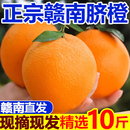 正宗赣南脐橙新鲜10斤装 整箱水果 大果橙子江西赣州产地直发当季