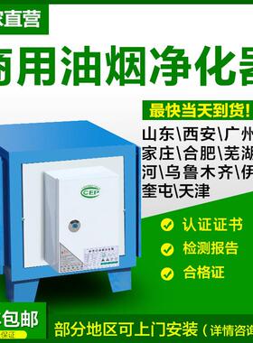 高空烟净化器商空油烟WBO净化器厨房餐饮店油除油烟烟用雾净高化