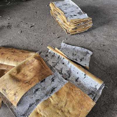 天然白道桦树皮桦树皮家居白装DIY花材饰具摄影11背景桦树皮