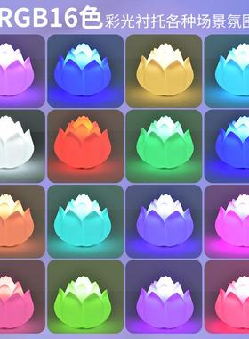 大坪3653观园草灯户外防水饰灯景观庭院别墅装花园布灯置落地灯地