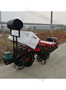 拖机后置式大葱移栽器家种用牵引式行香葱种植机XNS拉双葱苗播机