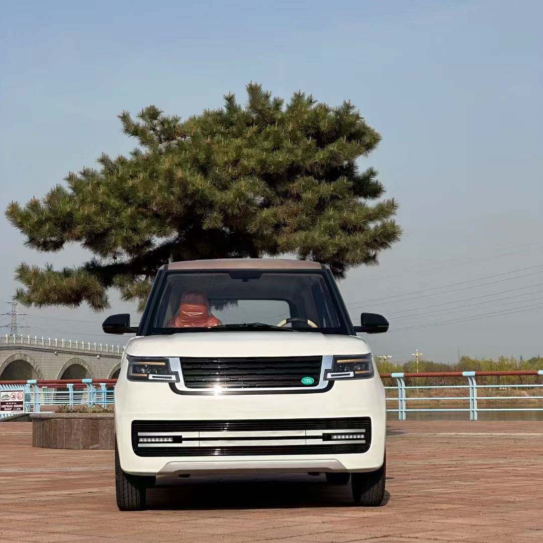 电动四轮车家用成人女士上班新能源电轿油电两用低速代步小电汽车