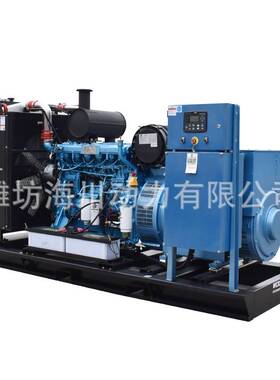 潍柴200kw柴油发电机 学校工地养殖场备用300KW发电机组