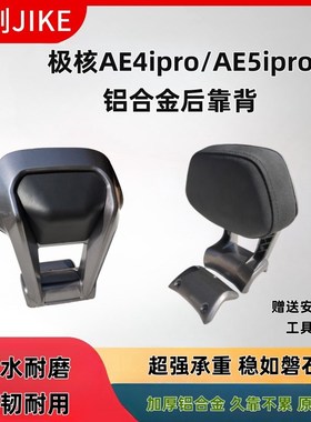 极核AE4My25/SE/AE4si/pro/AE5i/pro电动车铝合金后靠背加厚长坐