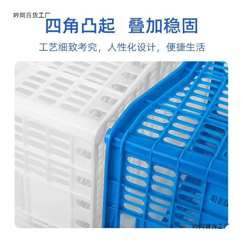 装萄的塑料筐杨梅胶框长方葡形密水果空周转筐无品牌/熟胶镂封汽