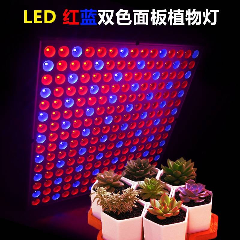 45W/14WLED植物灯 植物面板灯 育苗灯 红蓝植物补光灯45w植物灯