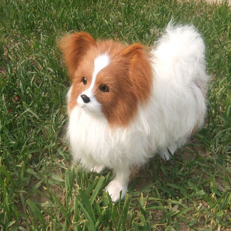 厂家现货仿真狗家居摆件创意桌面装饰品蝴蝶犬模型博美犬