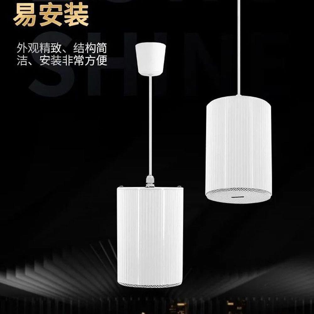 CSL-301防水吊顶扬声器铝