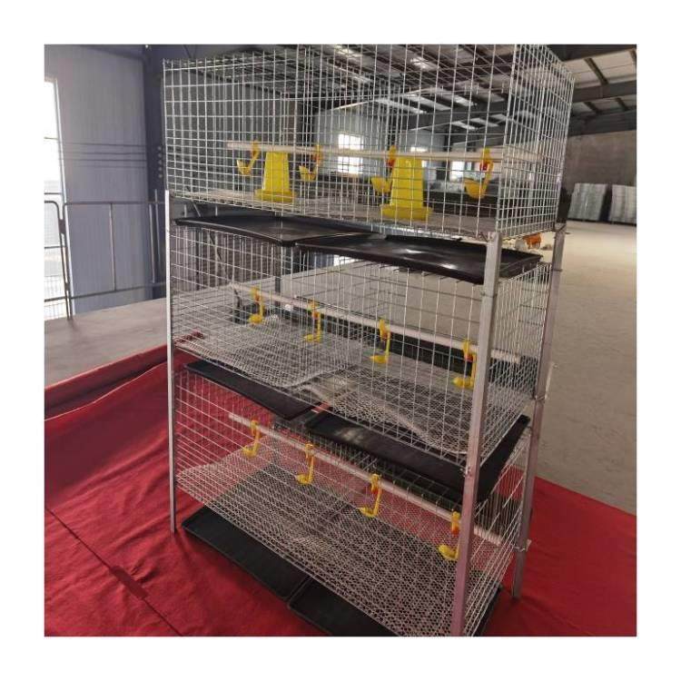 肉鸡笼镀锌防锈3层立鸡体全H自动肉鸡笼型雏肉两用养LZR殖笼推荐,农机/农具/农膜,农用防护器具,淘宝优惠券,粉丝福利购,淘宝优惠卷