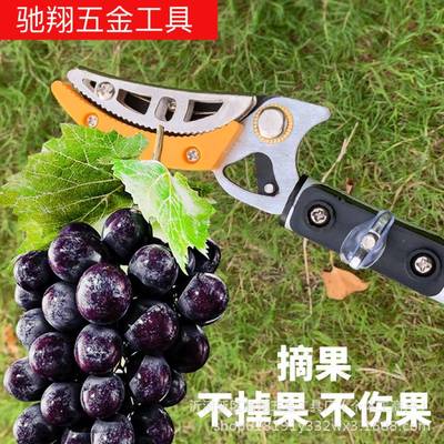 高空树枝果树修剪枝剪铝合金可伸缩MZD果剪树器枝树专用神园艺刀