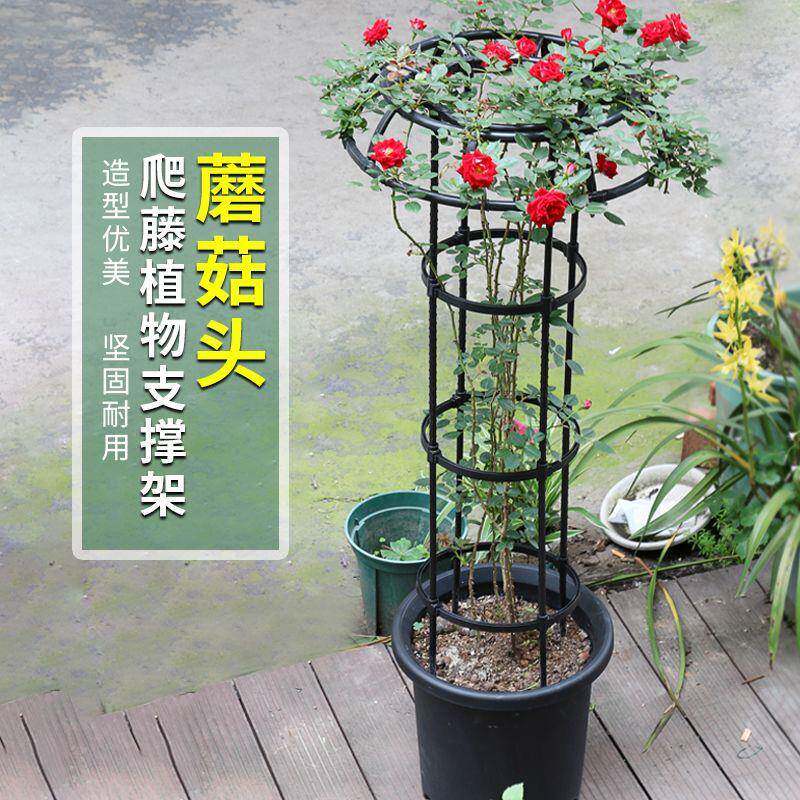 伞型花架爬架户外花藤花卉攀架支架frFYFZBE月季铁线莲11mm管径支