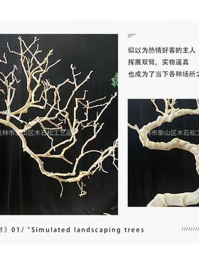 干树枝件干树干枝白色许愿摆枯树杆实树木天然造型树001假仿真装
