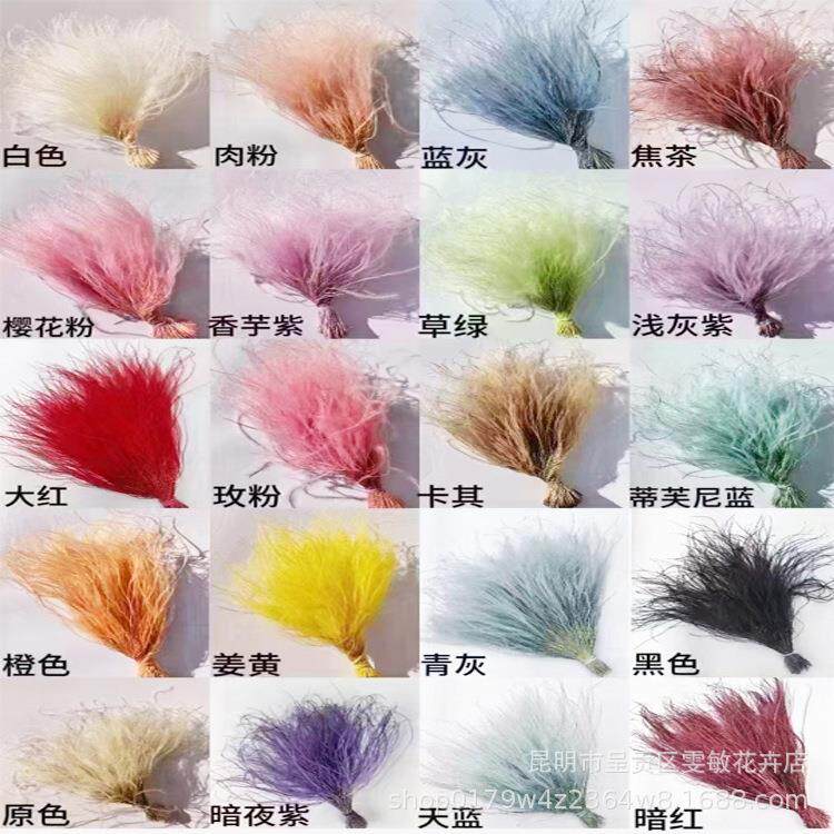 小材束柔丝浪漫草干CGAN1花花材羽毛草仙气花飘配飘